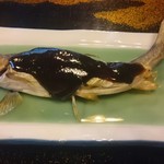 揖斐川丘苑 - 魚田