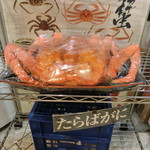 かに愛知屋 - ショーケースに入らないビッグなタラバ