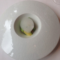 OTTO SETTE - 