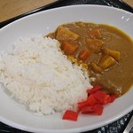 Hanamaru Udon - はなまるカレーライスはメニューにないので申請して頂いてみよう