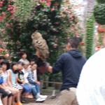 掛川花鳥園 - 