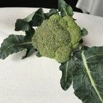 L'Arpége - 机上の野菜