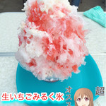 奈良の氷屋ヒノデさん - 生いちごみるく氷