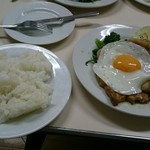 ニューマルヤ - 