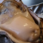 Umi No Sachi Shokudokoro Echizen - 天然岩牡蠣。7月上旬～㋇上旬頃まで