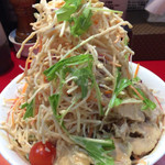 千里眼 - 冷やし中華（少なめ）200グラム　ヤサイマシニンニクカラカラガリマヨで  800円　