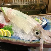 割烹 かじ 本店 - 