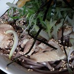 そば処ひふみ - サガエつけそば800円大盛100円増／平成28年8月