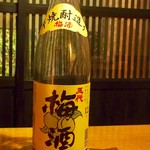 梅酒・五代梅酒（鹿児島）