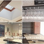 ヴェジトゥス - 