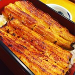 神田きくかわ 上野毛店 - 鰻もお米もしっかり目です(^^)艶が綺麗♡