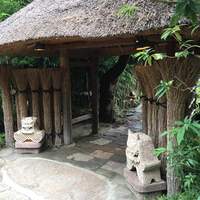 九つ井 本店 - 