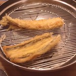 てんぷらと和食 山の上 - 穴子
