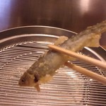 てんぷらと和食 山の上 - 稚鮎