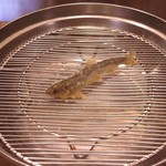 てんぷらと和食 山の上 - 稚鮎