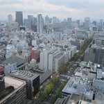 セント レジス ホテル - 部屋からの眺望