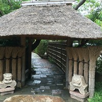 九つ井 本店 - 