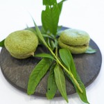 シック プッテートル - 鮎