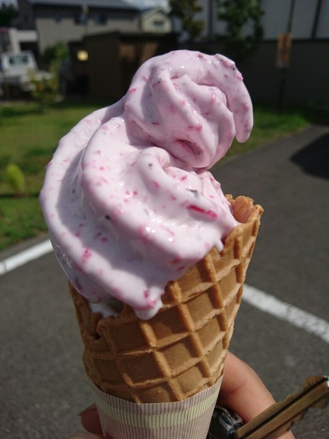 有機果菜食品 - 会津高田（ソフトクリーム）の写真