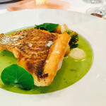 シック プッテートル - 