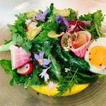 シック プッテートル - 