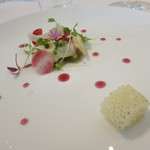 ラ クレリエール - 砂土原茄子とアオリイカ　ハーブの香り　石川県産野菜のサラダ　赤紫蘇のソース