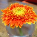 Catina Cafe - 店内の雰囲気