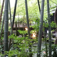 THE KAWABUN NAGOYA - 中庭