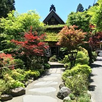 うかい鳥山 - 