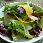 レストラン 竜神亭 - サラダ