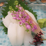 馳走 山傳 - アオリイカ