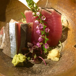 まる富 - お造り：鰹・新秋刀魚