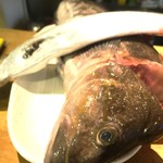 ちゃきちゃき - 太刀魚とあいなめ('16.08)