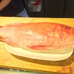 ちゃきちゃき - こいつがオジサン!!('16.08)