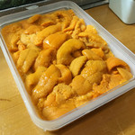 鮨松榮 - 利尻産雲丹