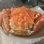 鮨松榮 - 毛蟹（風呂上がり）