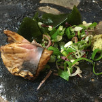 鮨松榮 - 鰹（焼き）