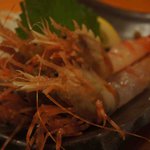 えんや - ここでしか食べれないｺﾞｼﾞﾗｴﾋﾞ