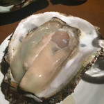 酒の魚　和海 - 