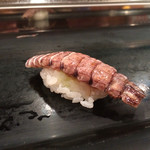 幸鮓 - 子持ちシャコ