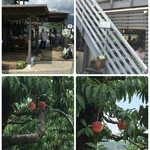 桃の農家カフェ ラペスカ - 