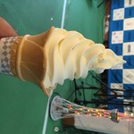 おしなりくんの家 - 