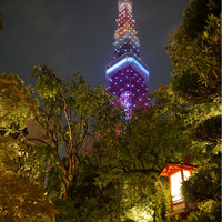 東京 芝 とうふ屋うかい - 