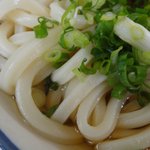 彦江製麺所 - うどんのアップ