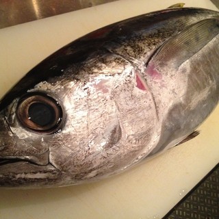 Fresh fish from Toyosu