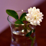 ビストロ ヴァンルージュ - 