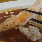 Shrimps - シュリンプ
