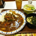 すき家 - 2016.8下旬 ニンニクの芽カレー並590円 サラダセット150円