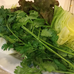 バーン・タム - 2016年8月中旬。