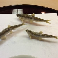 天ぷら 京星 - 